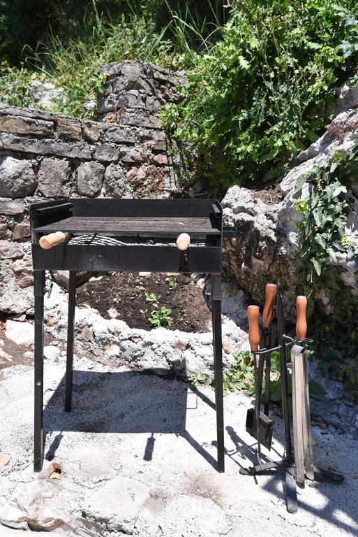 Vila Lucice Petrovac Extérieur photo