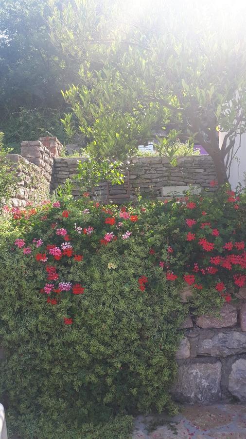 Vila Lucice Petrovac Extérieur photo